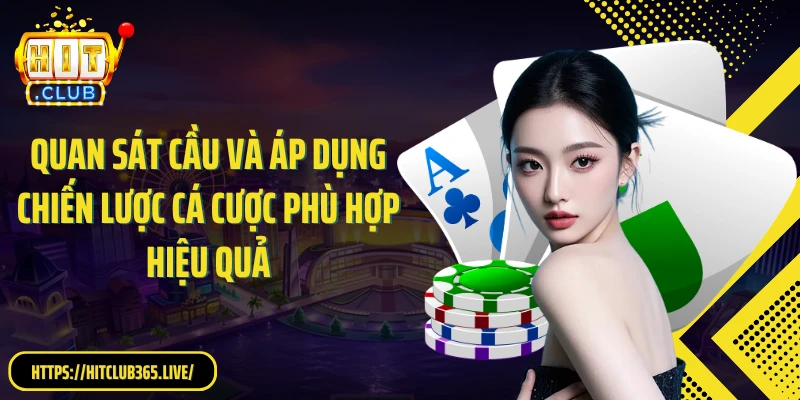 Quan sát cầu và áp dụng chiến lược cá cược phù hợp hiệu quả