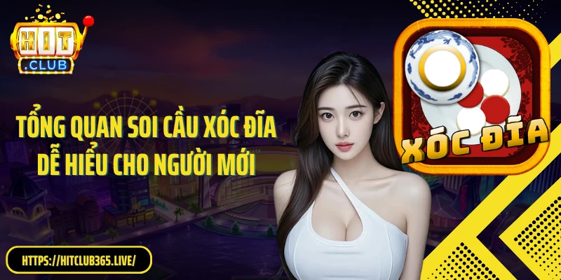 Tổng quan soi cầu xóc đĩa dễ hiểu cho người mới